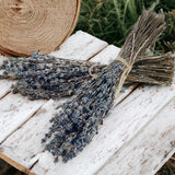 Dried French Lavender Bundles