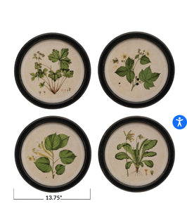 Botanical Reverie Wall Décor (Set of 4)