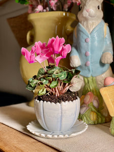 Blue Bell Flower Pot