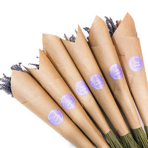 Dried French Lavender Bundles