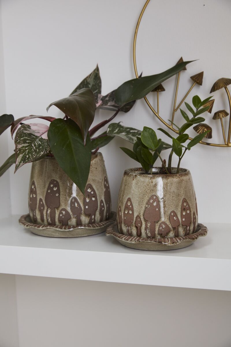 Wild Mushroom Pot with Saucer